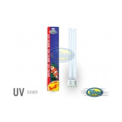 LAMPE POUR UV 36W AQUANOVA