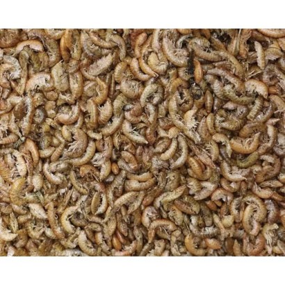 Gammare FRIANDISE ET ALIMENT A LA FOIS POUR VOS CARPES KOI