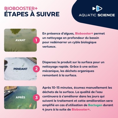 BIOBOOSTER 200 M3 pour bassin à carpes koi