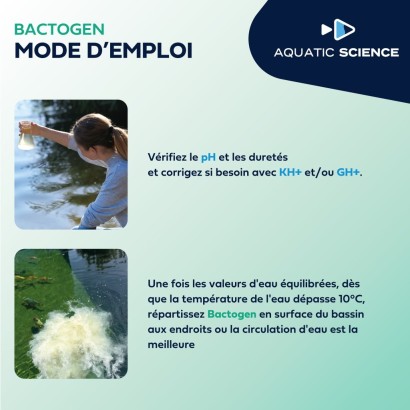 BACTOGEN 200 pour l'eau de votre bassin à carpes koi
