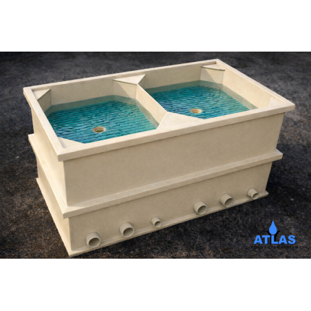MODULE DOUBLE ATLAS pour votre bassin à carpe koi