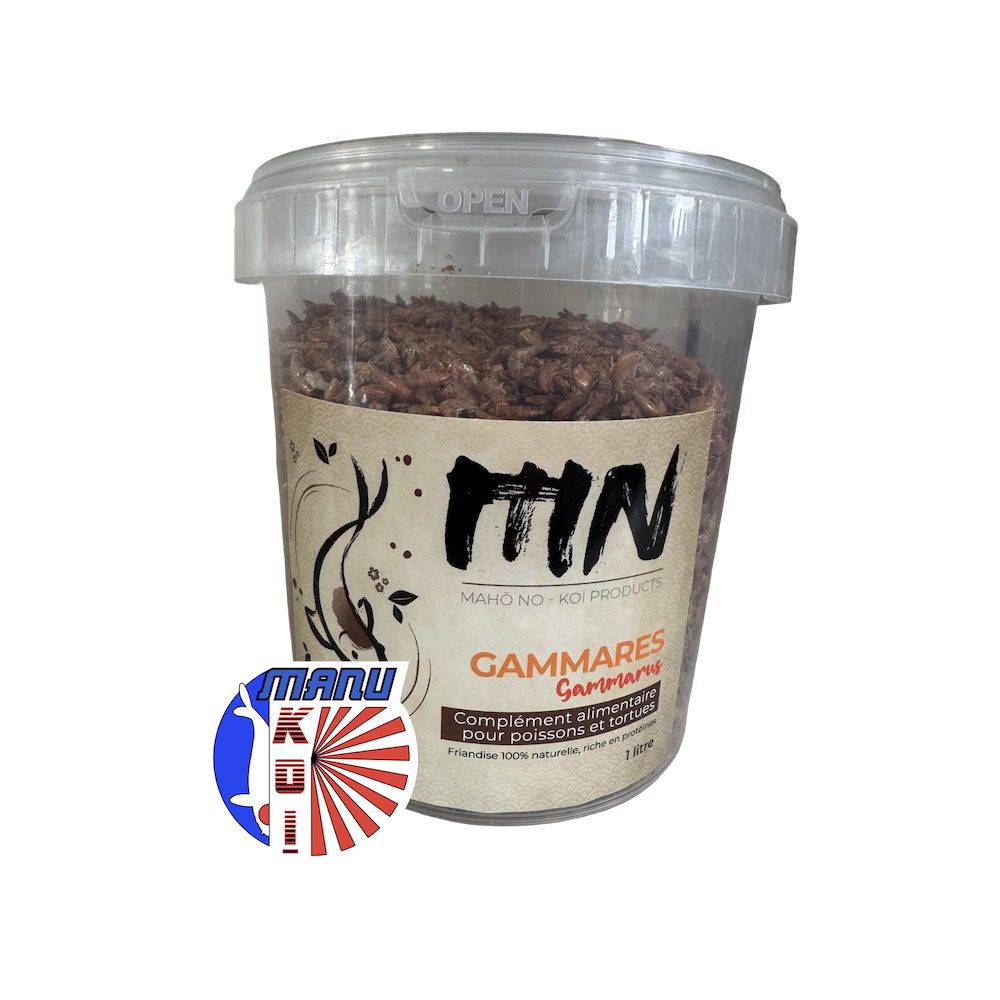 VERS DE FARINE FRIANDISE ET ALIMENT A LA FOIS POUR VOS CARPES KOI