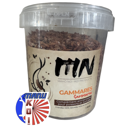 VERS DE FARINE FRIANDISE ET ALIMENT A LA FOIS POUR VOS CARPES KOI