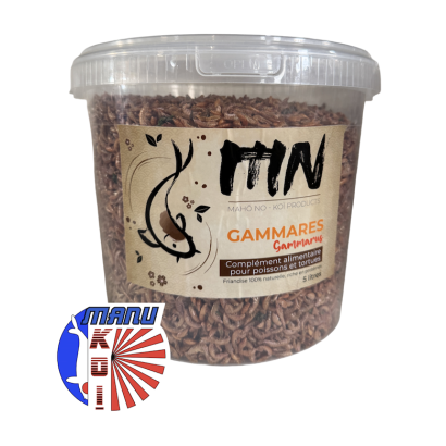 VERS DE FARINE FRIANDISE ET ALIMENT A LA FOIS POUR VOS CARPES KOI