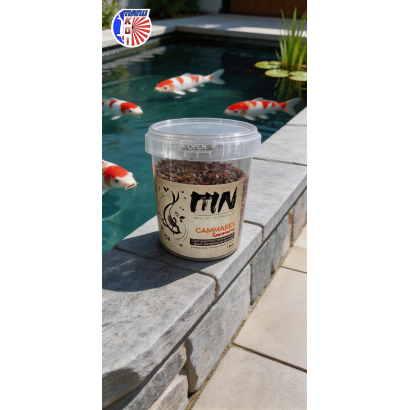 VERS DE FARINE FRIANDISE ET ALIMENT A LA FOIS POUR VOS CARPES KOI