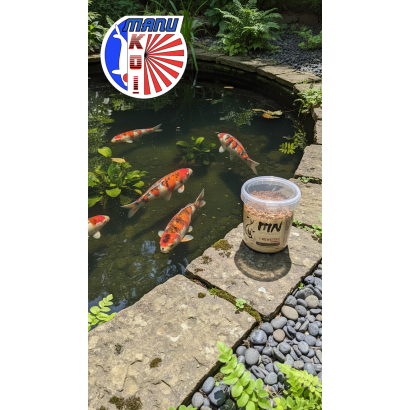 CREVETTES EN SEAU DE 1L - 3L OU 5L FRIANDISE ET ALIMENT A LA FOIS POUR VOS CARPES KOI