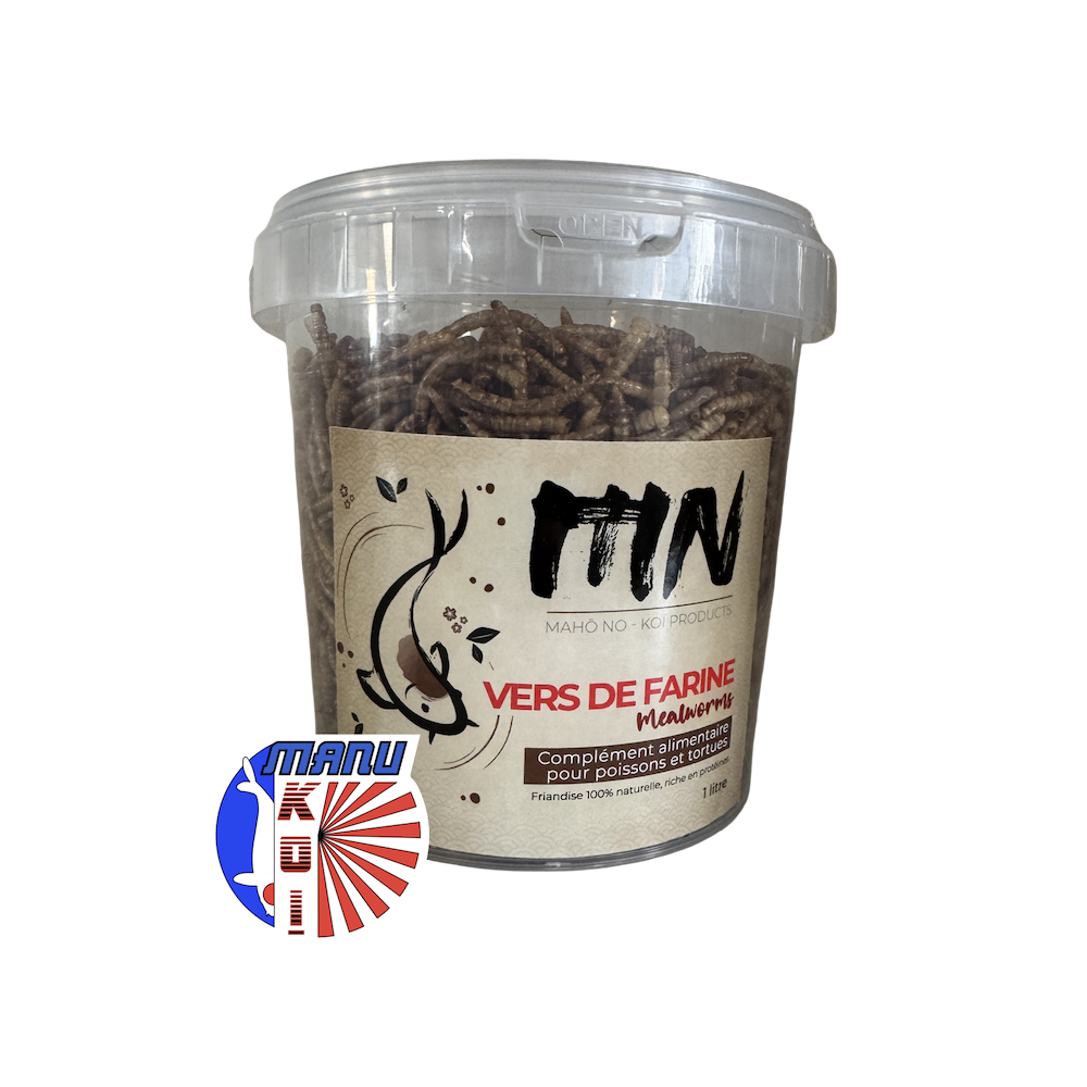 VERS DE FARINE EN SEAU DE 1L - 3L OU 5L FRIANDISE ET ALIMENT A LA FOIS POUR VOS CARPES KOI