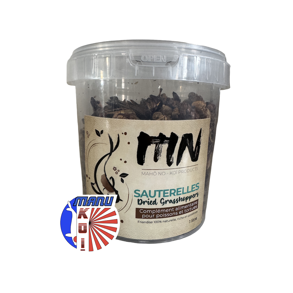 SAUTERELLES EN SEAU DE 1L - 3L OU 5L FRIANDISE ET ALIMENT A LA FOIS POUR VOS CARPES KOI