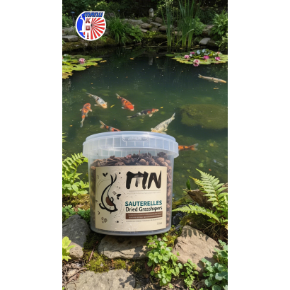 SAUTERELLES EN SEAU DE 1L - 3L OU 5L FRIANDISE ET ALIMENT A LA FOIS POUR VOS CARPES KOI