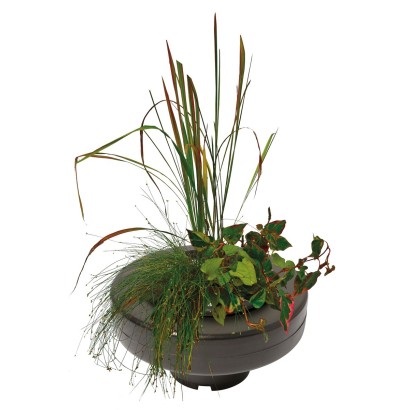 Panier flottant pour plantes de bassin diamètre 20cm
