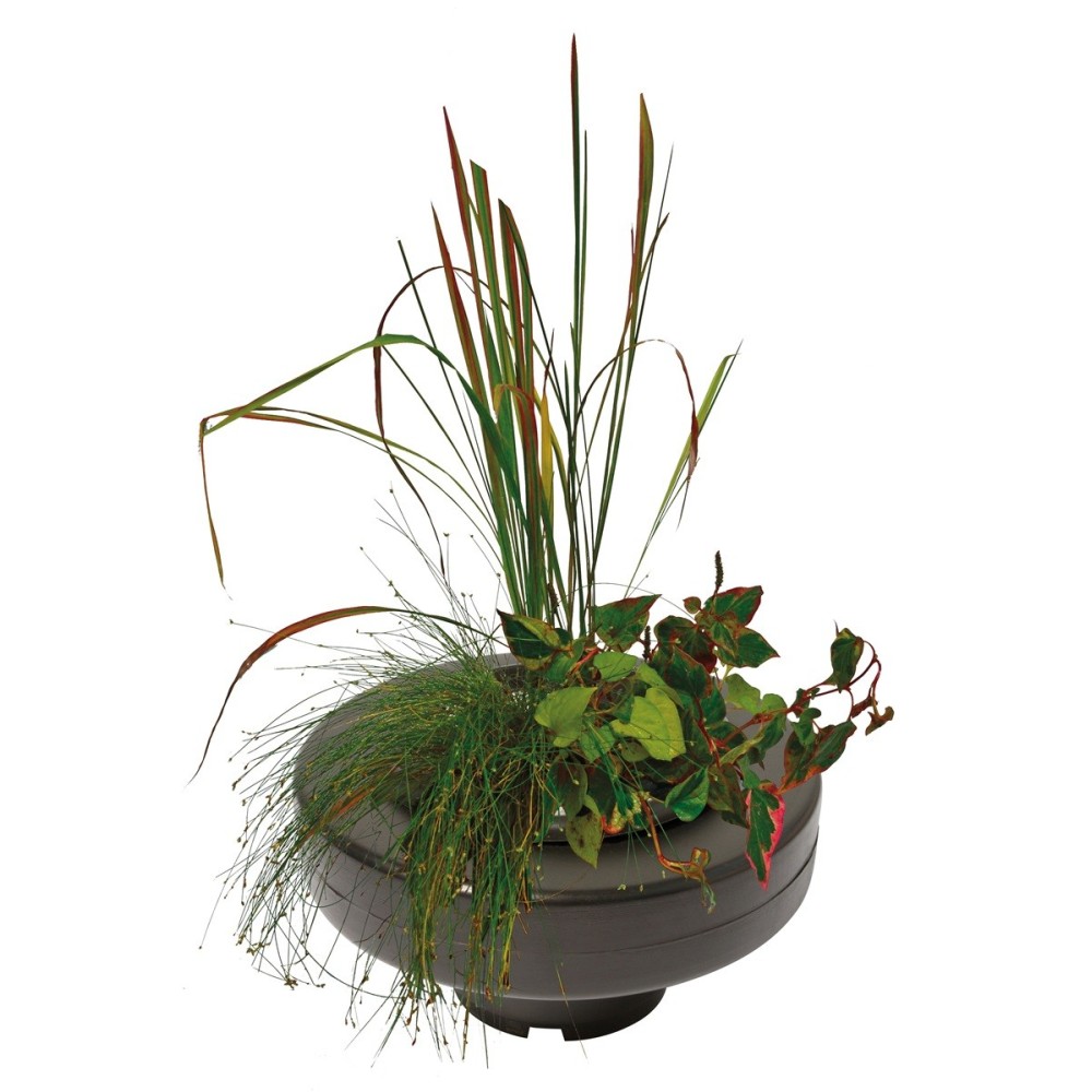 Panier flottant pour plantes de bassin diamètre 20cm