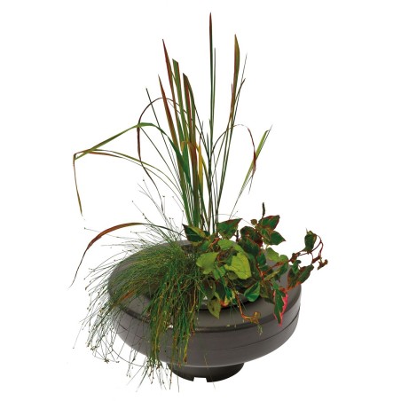 Panier flottant pour plantes de bassin diamètre 20cm