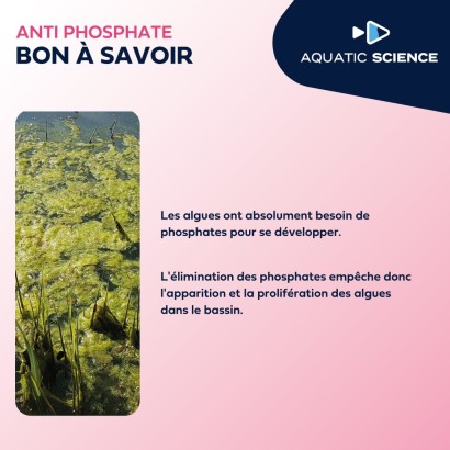 ANTI PHOSPHATE 500ML POUR VOTRE BASSIN A CARPES KOI